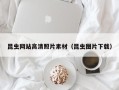 临沧昆虫网站高清照片素材（昆虫图片下载）