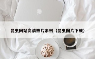 临沧昆虫网站高清照片素材（昆虫图片下载）